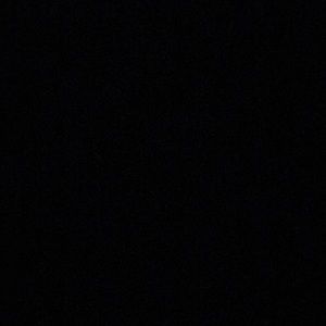 Meet your Posher, Rosalinda